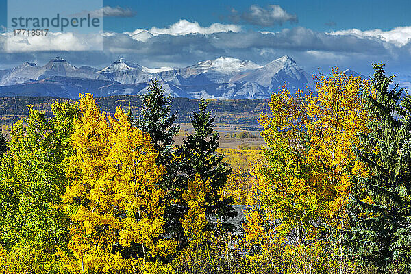 Bunte Herbstbäume im Vordergrund mit Bergkette  Wolken und blauem Himmel in der Ferne  westlich von Calgary; Alberta  Kanada