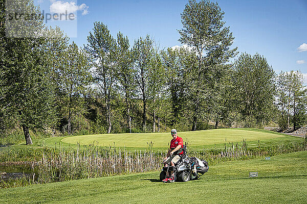 Behinderter Golfer  der einen speziellen motorisierten Hydraulik-Rollstuhl für den Golfsport benutzt; Okotoks  Alberta  Kanada