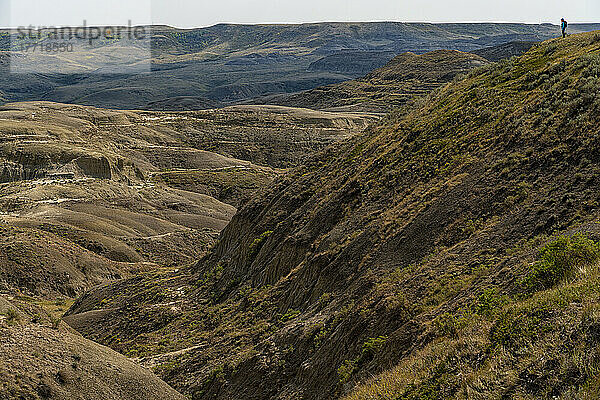 Eine Frau steht auf dem Gipfel eines Hügels im Grasslands National Park. Dieses Gebiet ist bekannt als das Tal der 1000 Teufel; Wood Mountain  Saskatchewan  Kanada