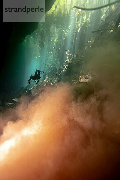 Silhouette eines Höhlentauchers  der eine Kalksteinpassage mit einer Wolke aus orangefarbenem Staub und grünen Wasserpflanzen erkundet; Tulum  Quintana Roo  Mexiko