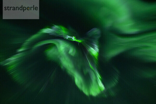 Grün leuchtende Nordlichter (Aurora borealis) an einem weiten Nachthimmel; Churchill  Manitoba  Kanada