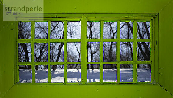 Winterlandschaft  gesehen von einem grün gestrichenen Fenster mit rechteckigen Scheiben; Winnipeg  Manitoba  Kanada