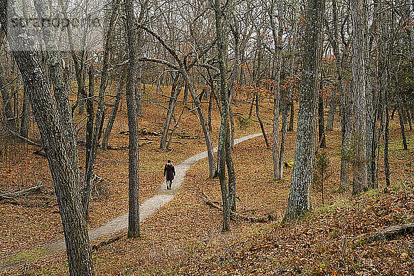 Frau geht durch einen Waldweg in Ontario; Grand Bend  Ontario  Kanada