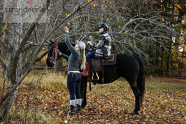 Ein junges Mädchen mit Cerebralparese und ihr Trainer halten an  um während einer Hippotherapie-Sitzung Äpfel für ein Pferd zu besorgen; Westlock  Alberta  Kanada