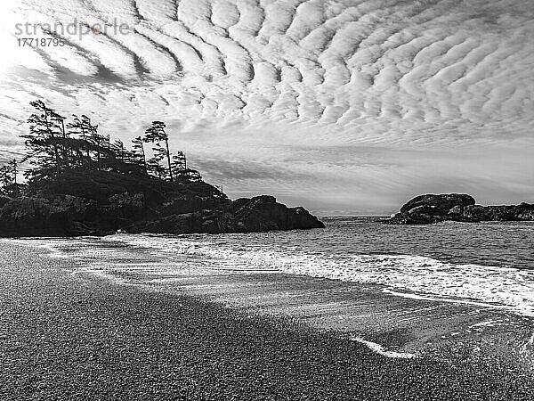Schwarz-Weiß-Bild eines Strandes entlang des South Beach Trail  Pacific Rim National Park Reserve  Vancouver Island; British Columbia  Kanada