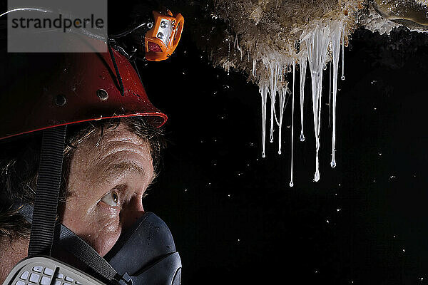 Ein Fotoassistent inspiziert Rotten  einen Biofilm aus einzelligen  extremophilen Bakterien  der von den Wänden und Decken der Cueva de Villa Luz herabhängt.