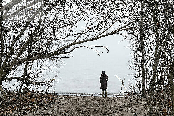 Frau  die am Ufer eines Sees steht und auf den See hinausblickt; London  Ontario  Kanada