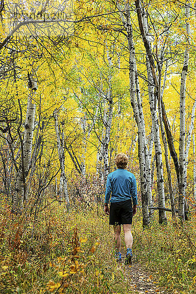 Wanderin auf Waldweg mit bunten Herbstfarben; Calgary  Alberta  Kanada