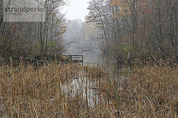 Sanft fallender Schnee über einem Teich im Herbst in Ontario; London  Ontario  Kanada