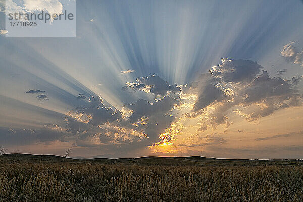 Korpuskularstrahlen bei Sonnenaufgang über den Prärien von Saskatchewan; Saskatchewan  Kanada