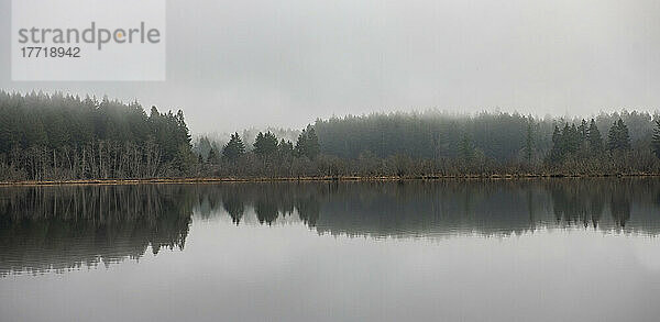 Spiegelbild von Bäumen in einem Waldgebiet entlang des Ufers des ruhigen Scott Lake  in der Nähe von Olympia  Washington  USA; Washington  Vereinigte Staaten von Amerika