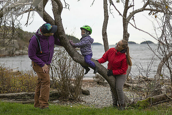 Eltern spielen mit ihrer kleinen Tochter  während sie auf einen Baum klettert  im Hintergrund der Pazifische Ozean und die Küste der Sunshine Coast; British Columbia  Kanada