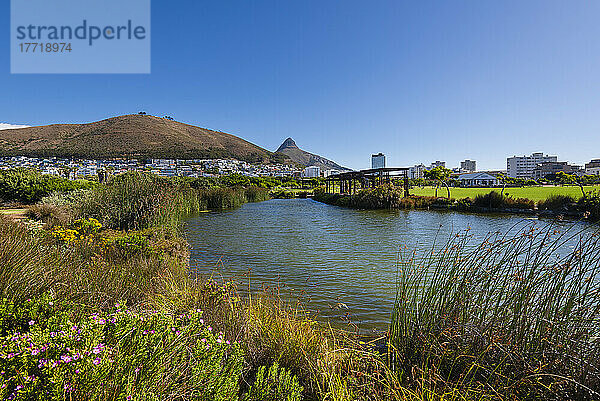 Green Point Park in Kapstadt mit dem Gipfel des Lion's Head in der Ferne; Green Point  Kapstadt  Südafrika