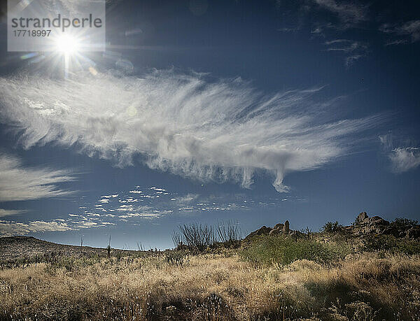 Federwolke am Himmel von Arizona. Zirruswolken werden manchmal auch als Federwolken oder Stutenschwänze bezeichnet. Sie bestehen aus sechseckigen Eiskristallen und sind häufig in Höhen von 20.000 Fuß zu finden; Safford  Arizona  Vereinigte Staaten von Amerika