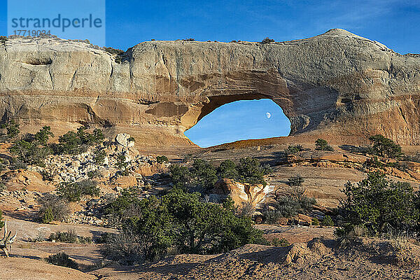 Blick auf den Mond durch den Wilson Arch  nahe Moab  Utah  USA; Moab  Utah  Vereinigte Staaten von Amerika