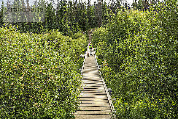 Frau und angeleinter Hund auf der Uferpromenade zum Valley of the Five Lakes im Jasper National Park; Alberta  Kanada