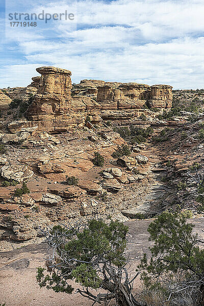 Blick in eine Schlucht mit gestapelten und fließenden Felsen und interessanter Geologie im Canyonlands National Park; Moab  Utah  Vereinigte Staaten von Amerika