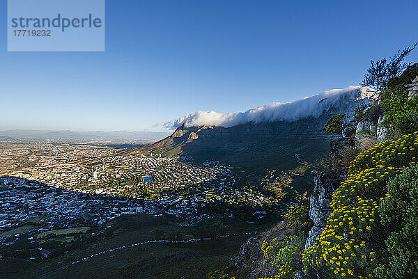 Wolkenformation  die den Tischtuch-Effekt über dem Tafelberg erzeugt  mit einem Überblick über die Skyline von Kapstadt vom Signal Hill aus; Kapstadt  Westkap-Provinz  Südafrika