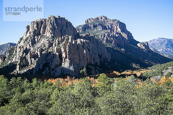 Zerklüftete Felsen über herbstlich gefärbten Platanen im Cave Creek Canyon in den Chiricahua Mountains im Südosten von Arizona; Portal  Arizona  Vereinigte Staaten von Amerika