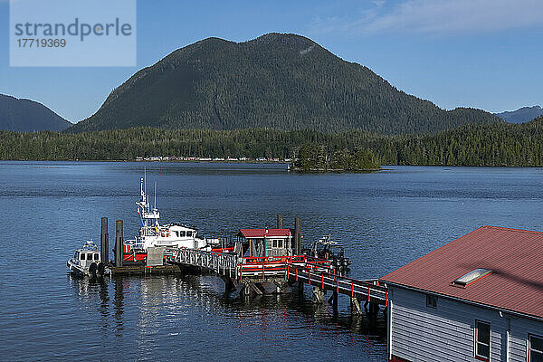 Ruhige Szene am Wasser in Tofino  Vancouver Island; Tofino  British Columbia  Kanada