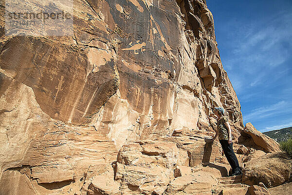 Weibliche Touristin bewundert alte Petroglyphen  die Eidechsen auf einer Felswand im Dinosaur National Monument darstellen; Utah  Vereinigte Staaten von Amerika