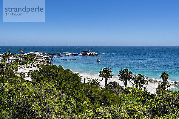 Überblick über die tropische Vegetation und die felsige Küste mit Häusern am Atlantik am Clifton Beach; Kapstadt  Westkap  Südafrika