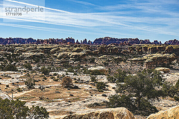 Blick auf die Nadeln im Canyonlands National Park; Moab  Utah  Vereinigte Staaten von Amerika