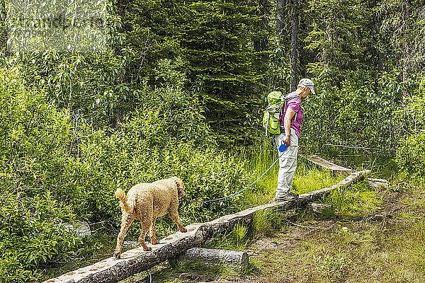 Frau wandert mit angeleintem Hund auf einem Höhenweg im Jasper National Park; Alberta  Kanada