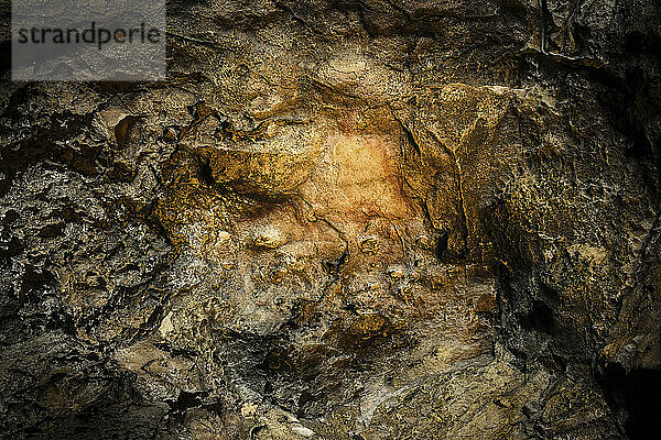 Konturzeichnung des Kopfes eines einjährigen Hirsches  angefertigt in einem als abstraktes Profil bekannten Stil mit Ocker auf der Wand der Höhle Serpievskaya-2 (Kolokolnaya)  Uralgebirge. Man beachte  dass das Geweih kurz und gerade ist  wie es für den Hirsch dieses Alters typisch ist; Russland