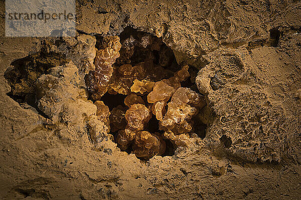 Saubere Kristalle aus kryogenem Kalzit im Tropfsteinloch auf dem Boden der Lehmhöhle. Tropfen  die aus ca. 15 m Höhe fallen  haben dieses Loch geschaffen und Kalzit freigelegt  Uralgebirge; Russland
