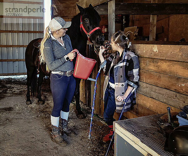 Ein junges querschnittsgelähmtes Mädchen füttert ein Pferd mit ihrem Trainer während einer Hippostherapie-Sitzung; Westlock  Alberta  Kanada