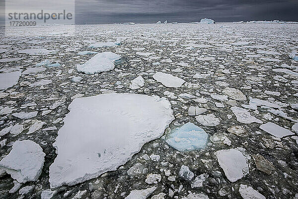 Eisscholle in der Penola-Straße  einem Punkt weit südlich auf der Antarktischen Halbinsel; Antarktis
