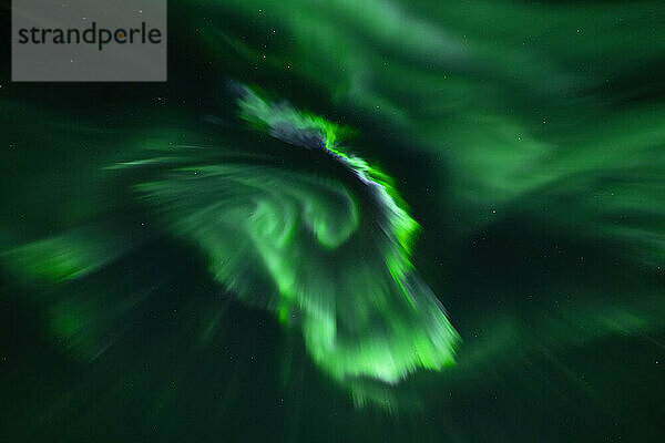 Grün leuchtende Nordlichter (Aurora borealis) an einem weiten Nachthimmel; Churchill  Manitoba  Kanada