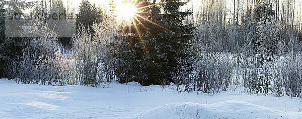 Sonnenaufgang in einer frostigen Winterlandschaft; Smithers  British Columbia  Kanada