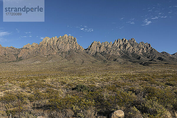 Blick auf die zerklüfteten Gipfel der Organ Mountains  Organ Mountains-Desert Peaks National Monument  nahe Las Cruces  New Mexico  USA; New Mexico  Vereinigte Staaten von Amerika
