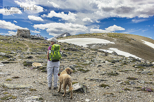 Frau und Hund beim Wandern auf dem Gipfel des Whistlers in der Nähe der Skytram-Oberstation in den kanadischen Rockies des Jasper-Nationalparks; Alberta  Kanada
