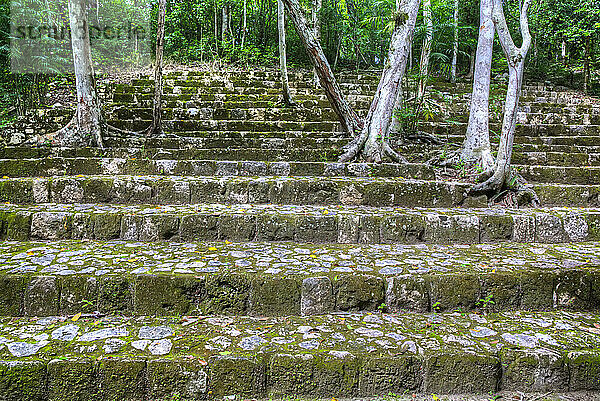 Stufen zur Struktur IV-A (Struktur nicht ausgegraben)  Zentrale Gruppe  Archäologische Zone Balamku  Maya-Ruinen  Staat Campeche  Mexiko; Balamku  Staat Campeche  Mexiko