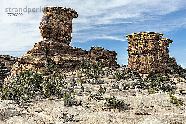 Gestapelte Felsen und interessante Geologie am Big Spring Canyon Overlook im Canyonlands National Park; Moab  Utah  Vereinigte Staaten von Amerika