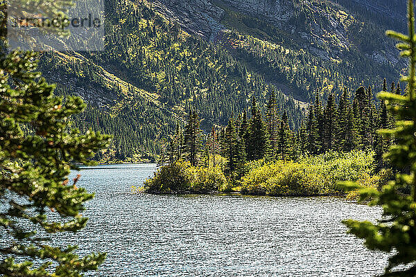 Alpiner See  in dem sich die Sonne spiegelt  mit Berghang im Hintergrund und eingerahmt von immergrünen Bäumen  Waterton Lakes National Park; Waterton  Alberta  Kanada