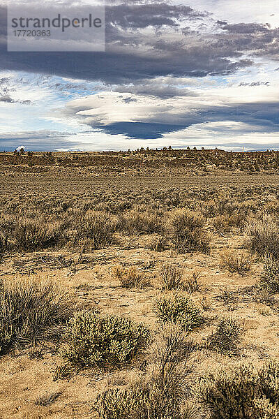 Linsenförmige Wolken über der Central Oregon High Desert; Brothers  Oregon  Vereinigte Staaten von Amerika