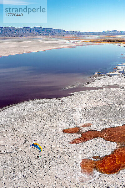 Ein Motorschirmpilot fliegt über den Owens Lake  einen größtenteils trockenen See in der Sierra Nevada in der Nähe von Lone Pine. Salz liebende Halobakterien färben das flache Wasser entlang der salzigen  trockenen Uferlinie in einem leuchtenden Rotton; Lone Pine  Inyo County  Kalifornien  Vereinigte Staaten von Amerika