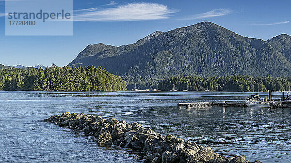 Docks und Uferlinie des Hafens und der Uferpromenade in Tofino an der Westküste von Vancouver Island; Tofino  British Columbia  Kanada