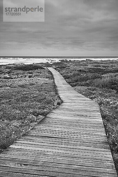 Holzsteg über das Moorland  der zur felsigen Küste am Kap Agulhas führt  dem südlichsten Punkt des afrikanischen Kontinents und der Meeresgrenze zwischen dem Indischen und dem Atlantischen Ozean im Agulhas-Nationalpark; Westkap  Südafrika