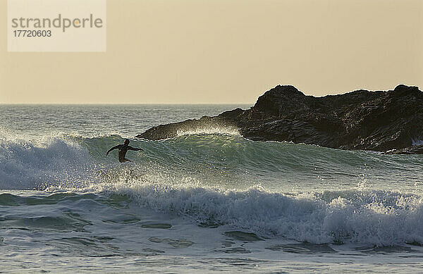 Surfen in der Constantine Bay bei Sonnenuntergang  nahe Padstow  Cornwall  Großbritannien; Cornwall  England