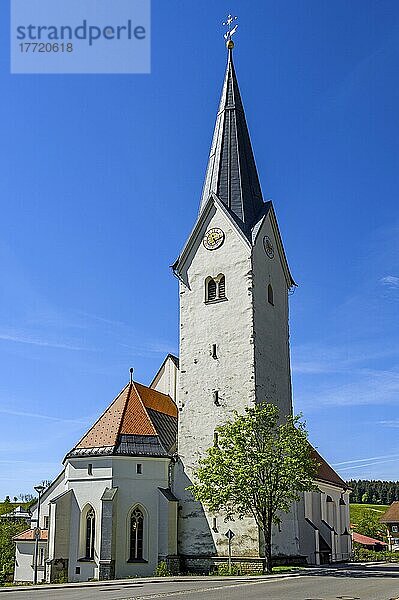 Kirche St. Martin  die römisch-katholische Pfarrkirche von Stiefenhofen  Allgäu  Bayern  Deutschland  Europa