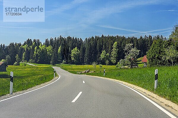 Landstraße zwischen Frühlingswiesen bei Stiefenhofen  Allgäu  Bayern  Deutschland  Europa