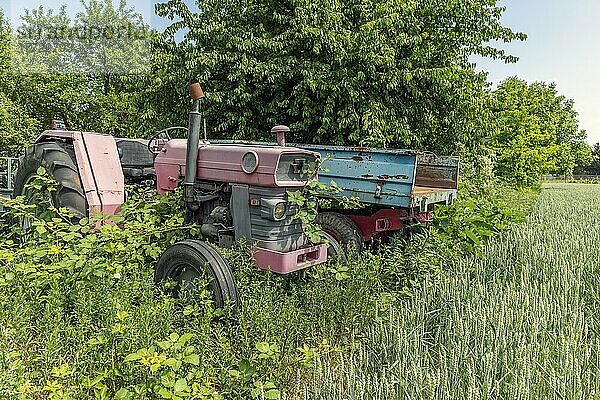 Alter landwirtschaftlicher Traktor verlassen im Garten. Elsass  Frankreich  Europa