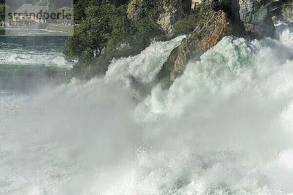 Wasserfall des Rheinfalls im Frühling  die größten Wasserfälle Europas. Neuhausen am reinfall  Schaffhausen  Schweiz  Europa