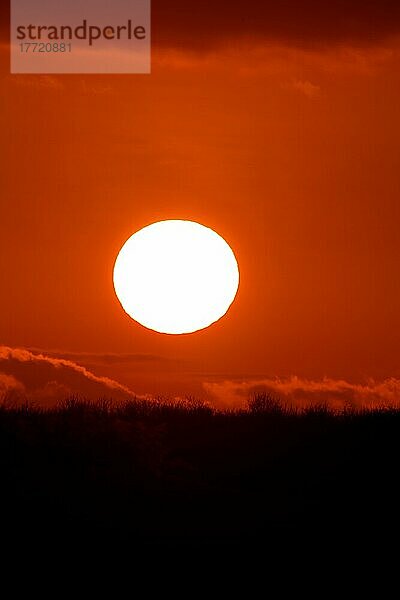 Sonnenuntergang Galapagos  Galapagos Inseln  Ekuador  Stimmung  Abendrot Sunset  Galapagos Islands  Ecuador  South America Sunset  South America  sunset with red sky Sunset  South Ame  Südamerika