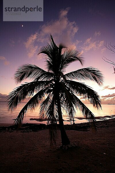 Sonnenuntergang Caymans  Cayman Inseln  Grand Cayman  Karibik  Palme  Strand  Meer  Landschaft  Stimmung Sunset  Cayman Islands  Caribbean Sunset  Caribbean  Palm in sunset Sunset  Grand Cayma